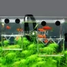 Breeding and Isolation Box for Guppy & Small Fish (L)